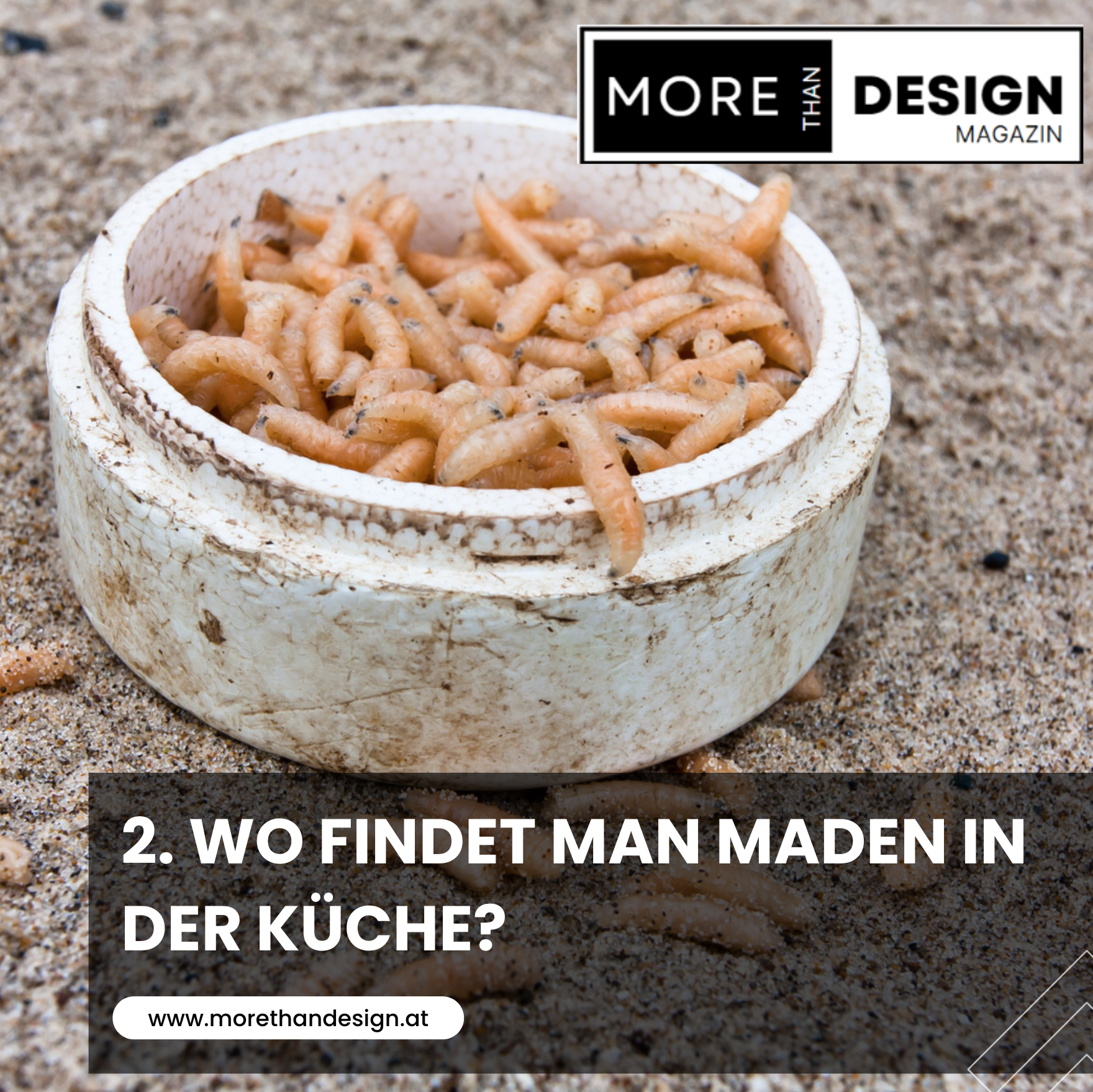 2. Wo findet man Maden in der Küche?