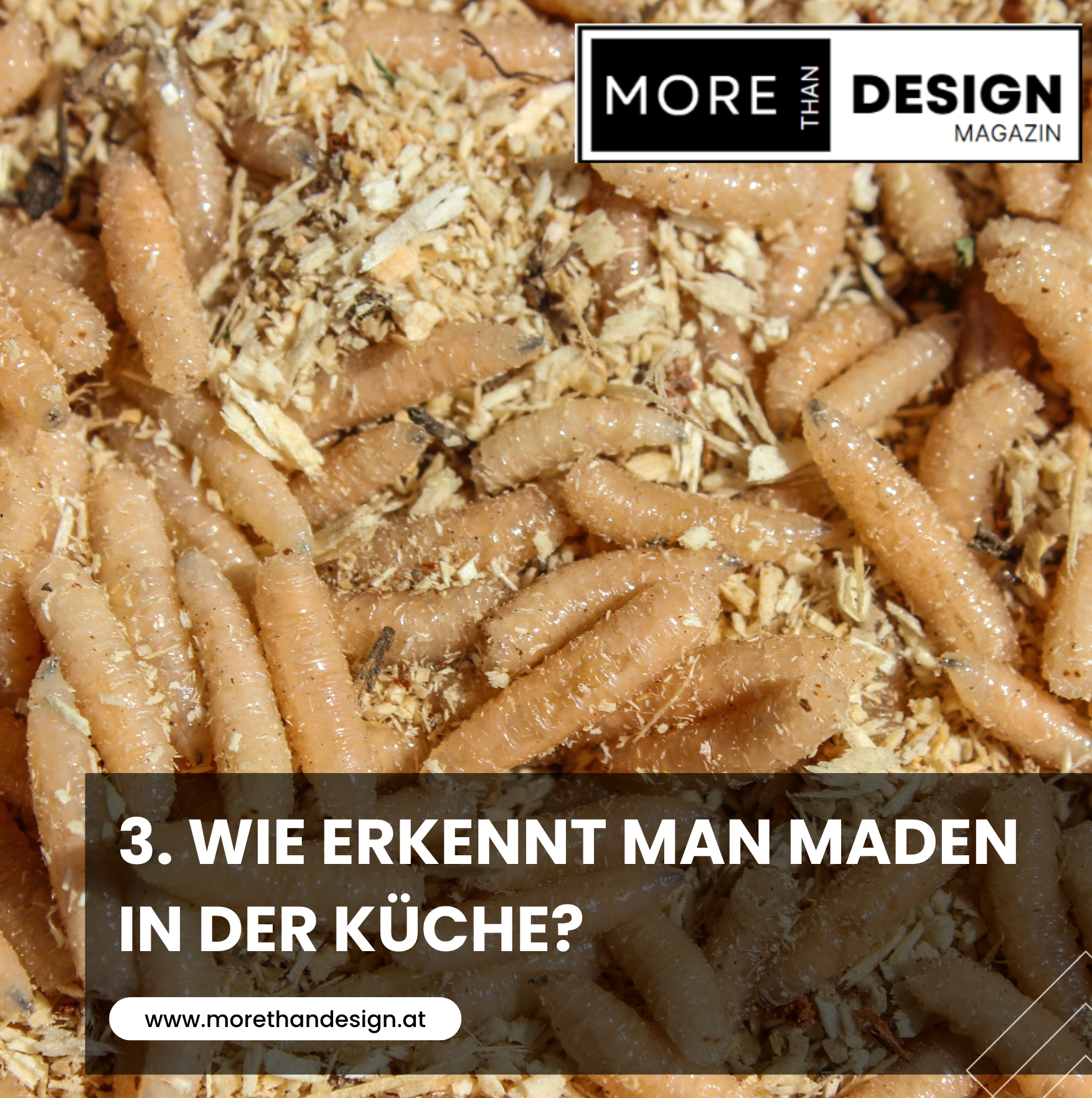 3. Wie erkennt man Maden in der Küche?