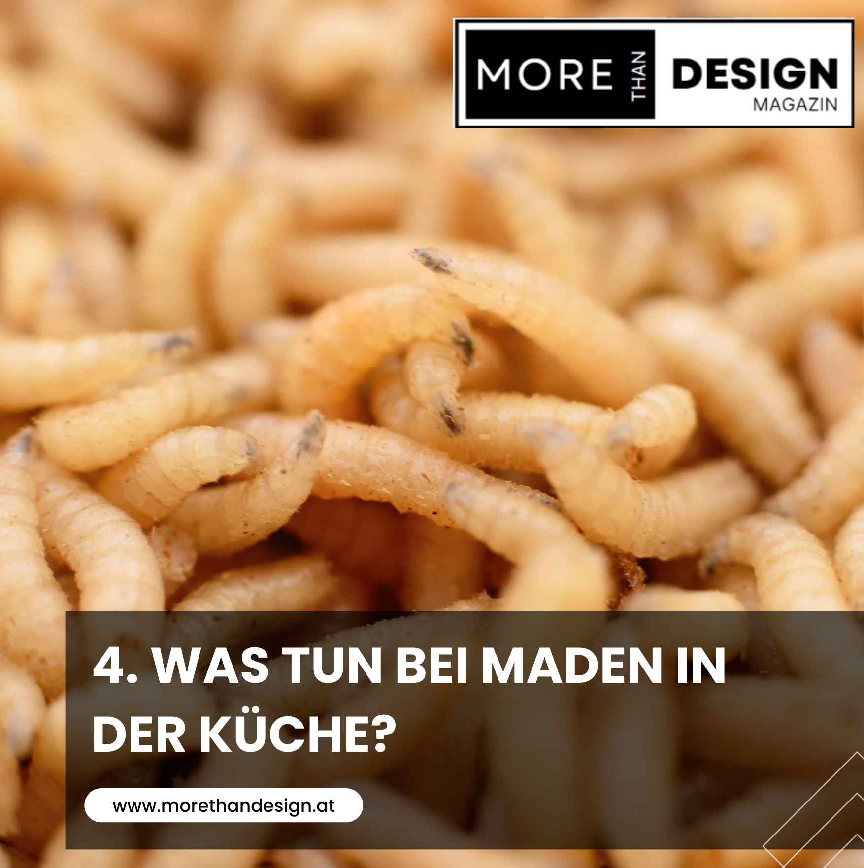 4. Was tun bei Maden in der Küche?