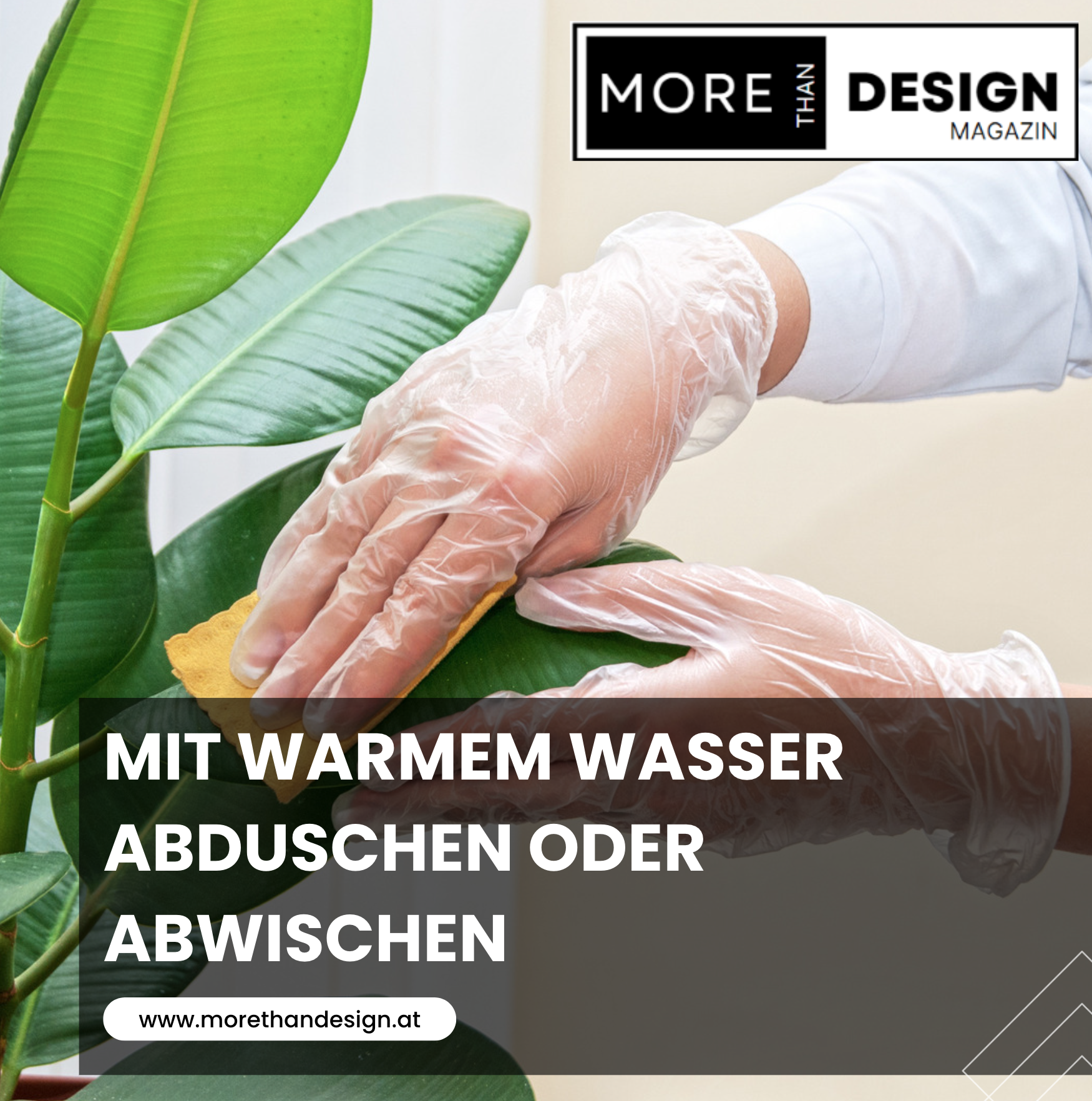 Mit warmem Wasser abduschen oder abwischen