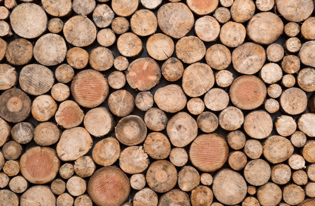Was ist das härteste Holz? Entdecken Sie die stärksten Holzarten der Welt