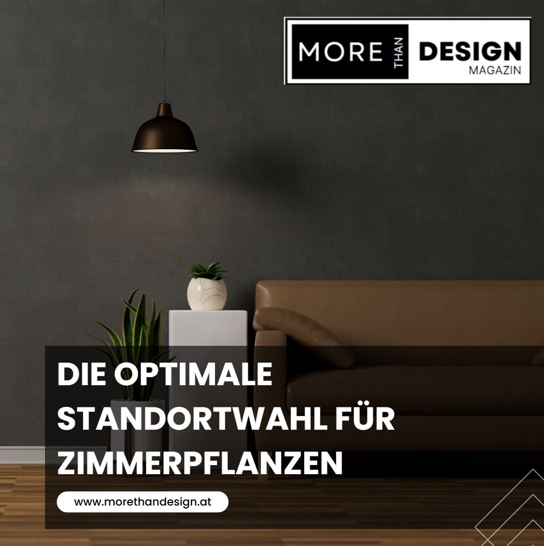 Die optimale Standortwahl für Zimmerpflanzen