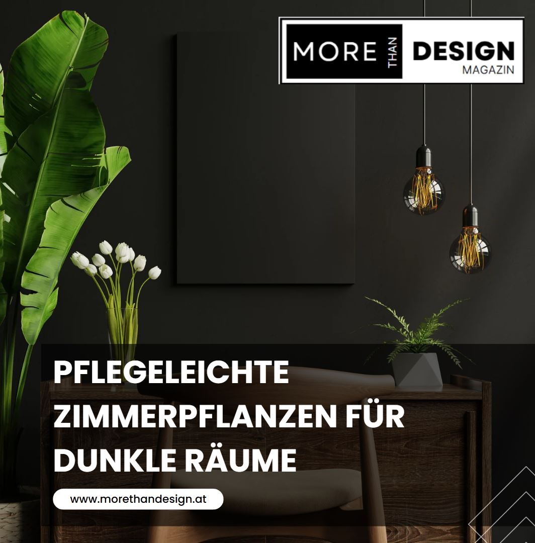 Pflegeleichte Zimmerpflanzen für dunkle Räume