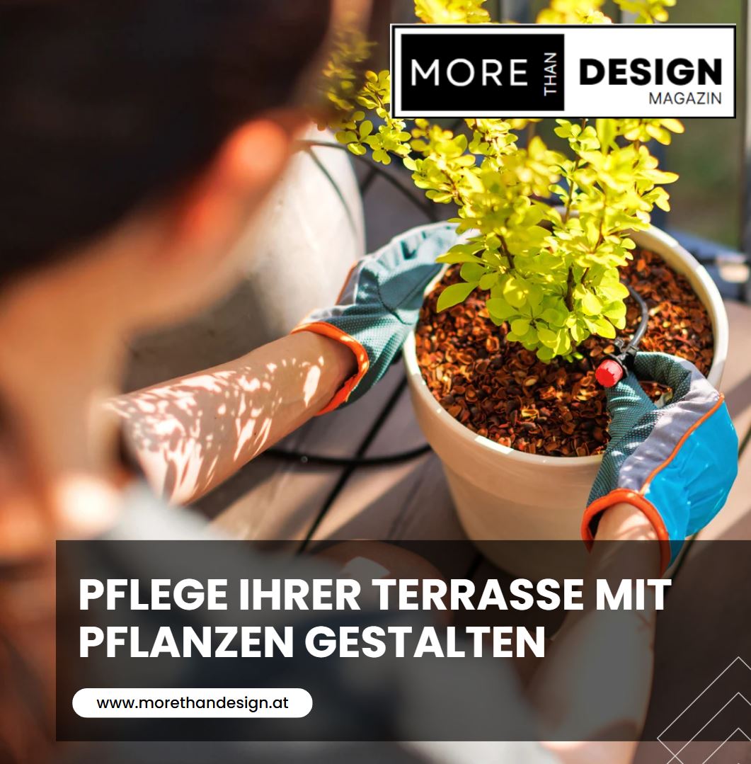 Pflege Ihrer Terrasse mit Pflanzen gestalten