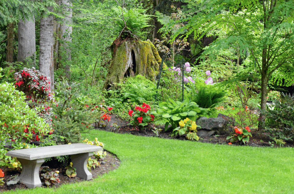 Kleinen Garten gestalten – Vorher und „Nachher: So verwandeln Sie Ihre grüne Oase!