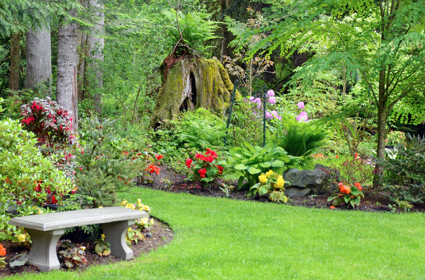 kleinen garten gestalten vorher nachher