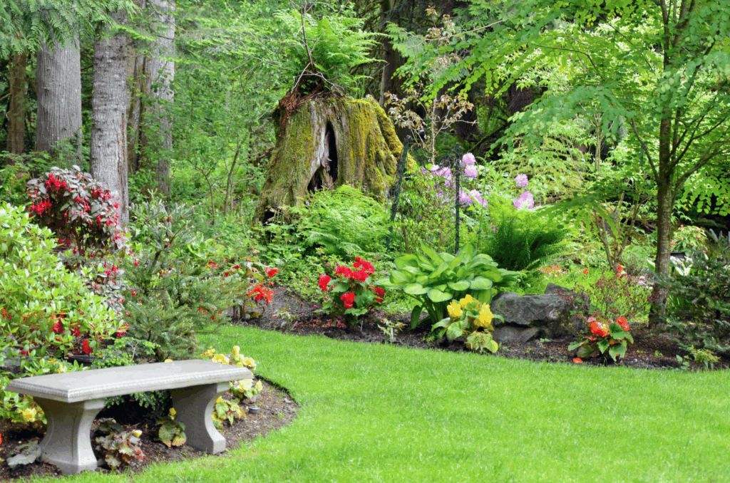 Gartenrenovierungen: Von der Planung bis zur Umsetzung