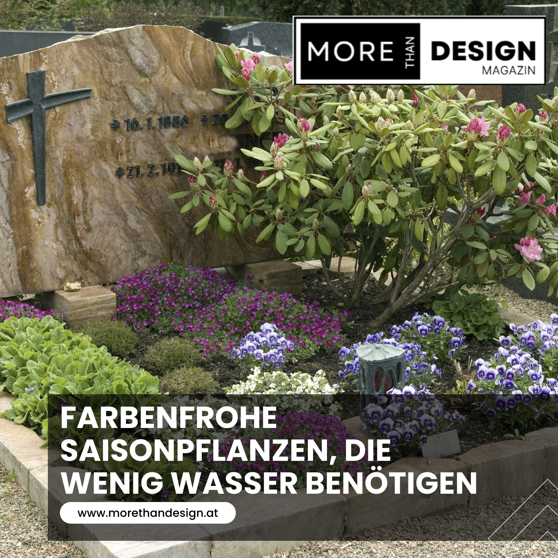 Farbenfrohe Saisonpflanzen, die wenig Wasser benötigen
