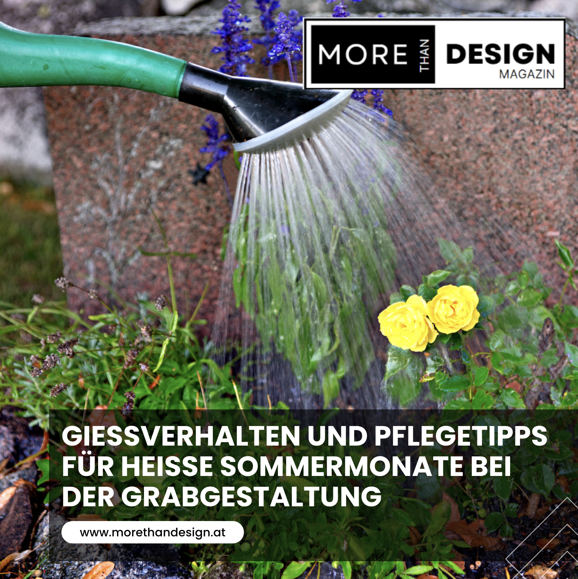 Gießverhalten und Pflegetipps für heiße Sommermonate bei der Grabgestaltung