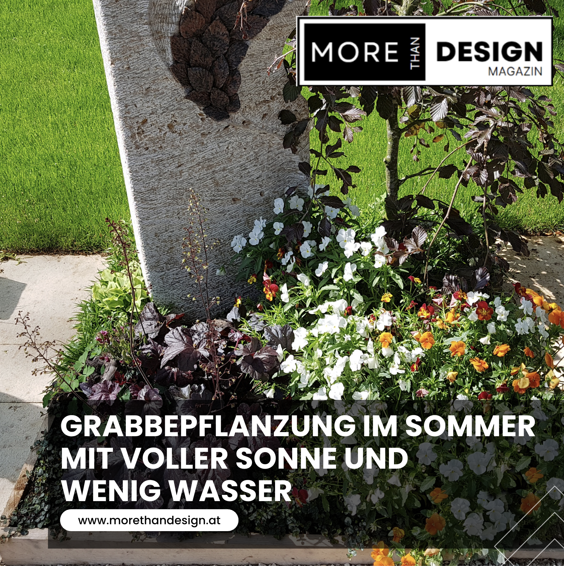 Grabbepflanzung im Sommer mit voller Sonne und wenig Wasser