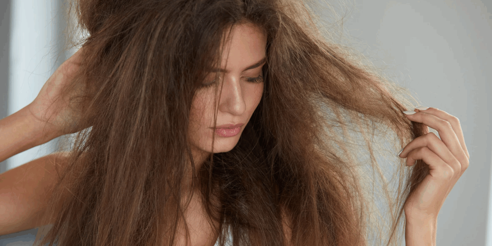 Testsieger bei extrem trockenem strohigem Haar Was Haar jetzt braucht