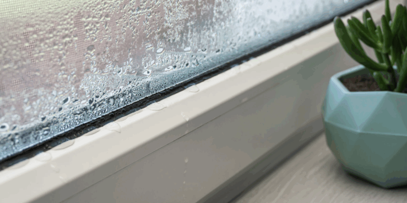 Warum Fenster von innen beschlagen: Vor allem im Winter ein Problem