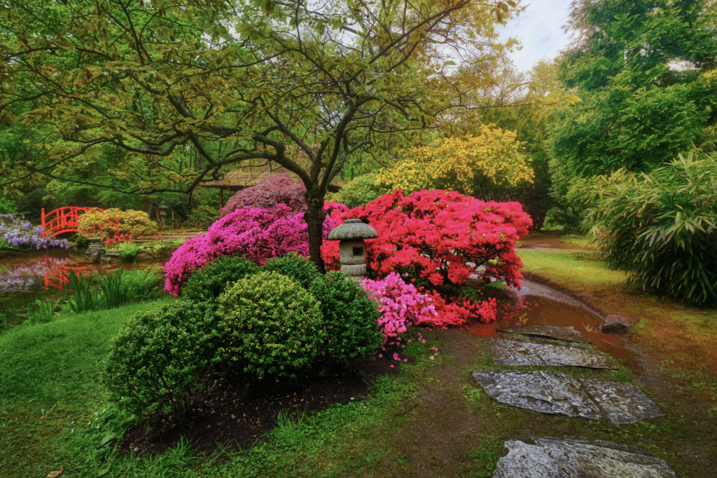 Farbe und Leben im Garten