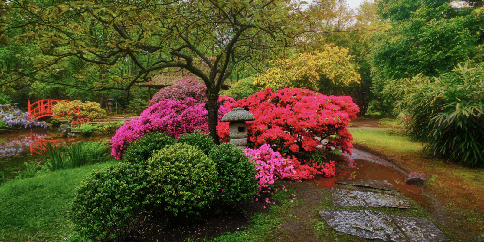 Farbe und Leben im Garten