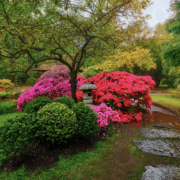 Farbe und Leben im Garten