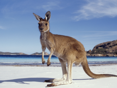 Erlebnisreisen nach Australien