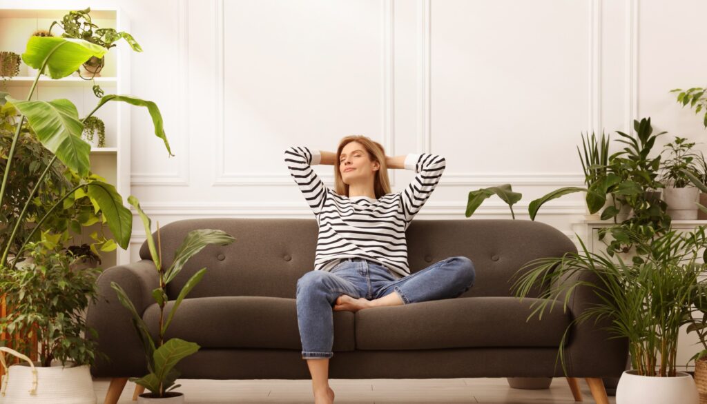 Die besten Pflanzen für dunkle Räume