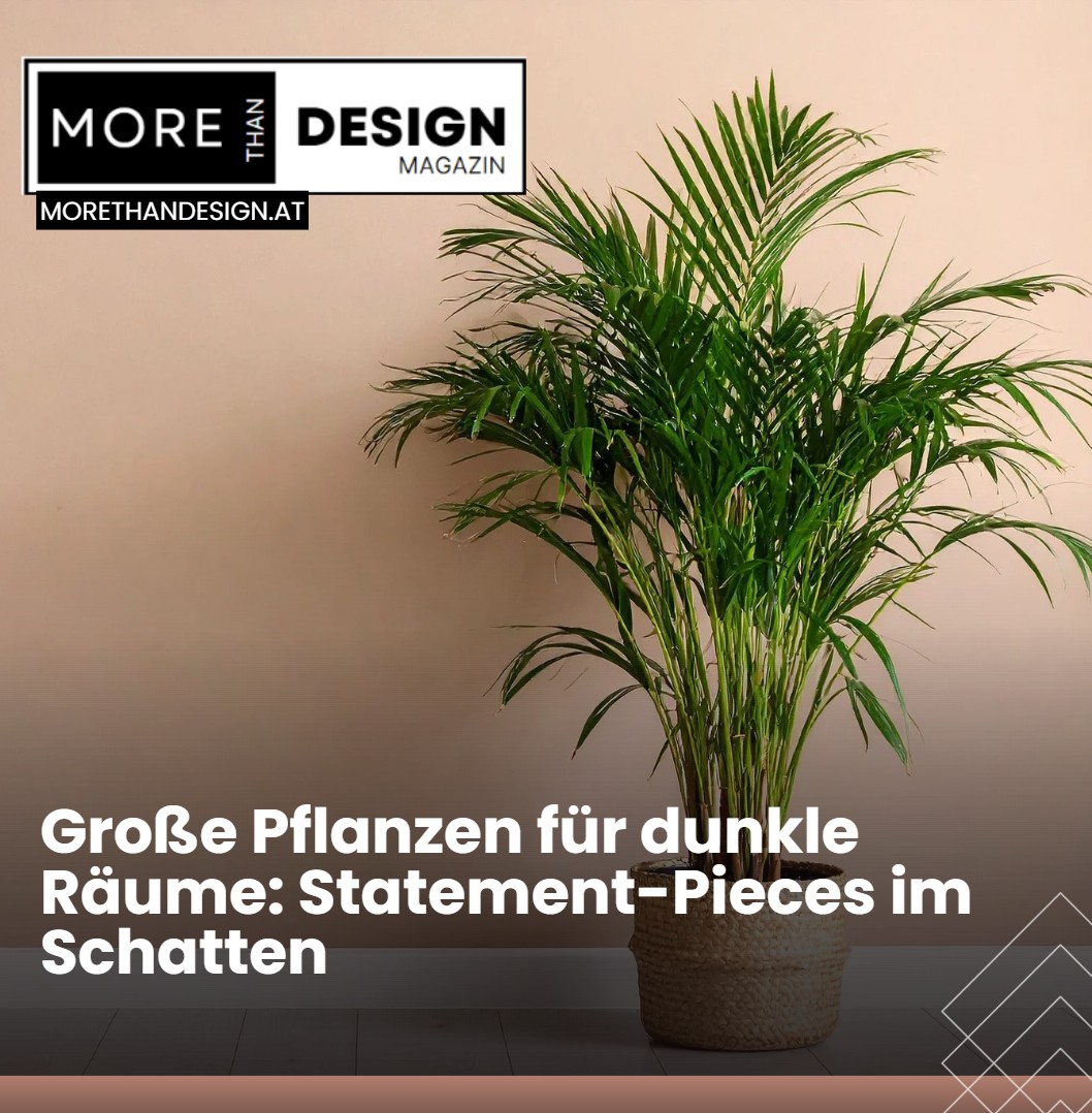 Große Pflanzen für dunkle Räume Statement-Pieces im Schatten Große Pflanzen für dunkle Räume Statement-Pieces im Schatten