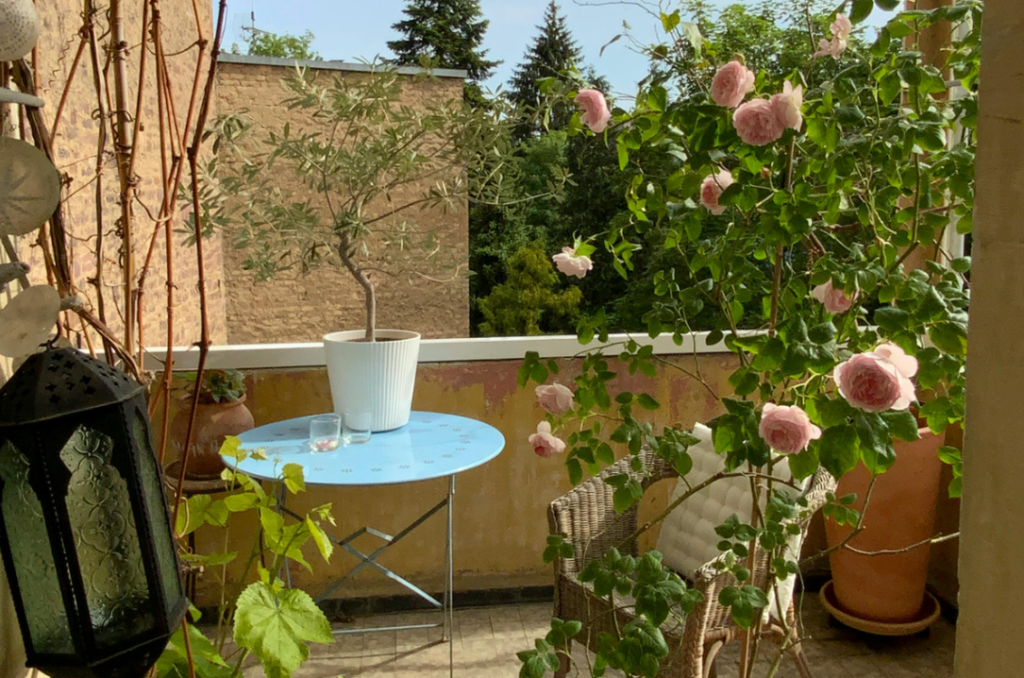 Robuste Balkonpflanzen für Sonne und Wind
