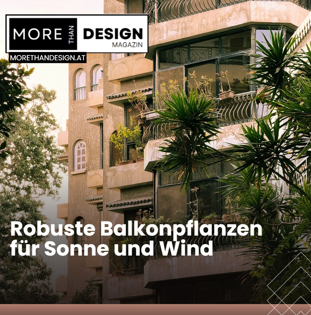 Robuste Balkonpflanzen für Sonne und Wind Was sind die robustesten Balkonpflanzen Robuste Balkonpflanzen für Sonne und Wind Was sind die robustesten Balkonpflanzen