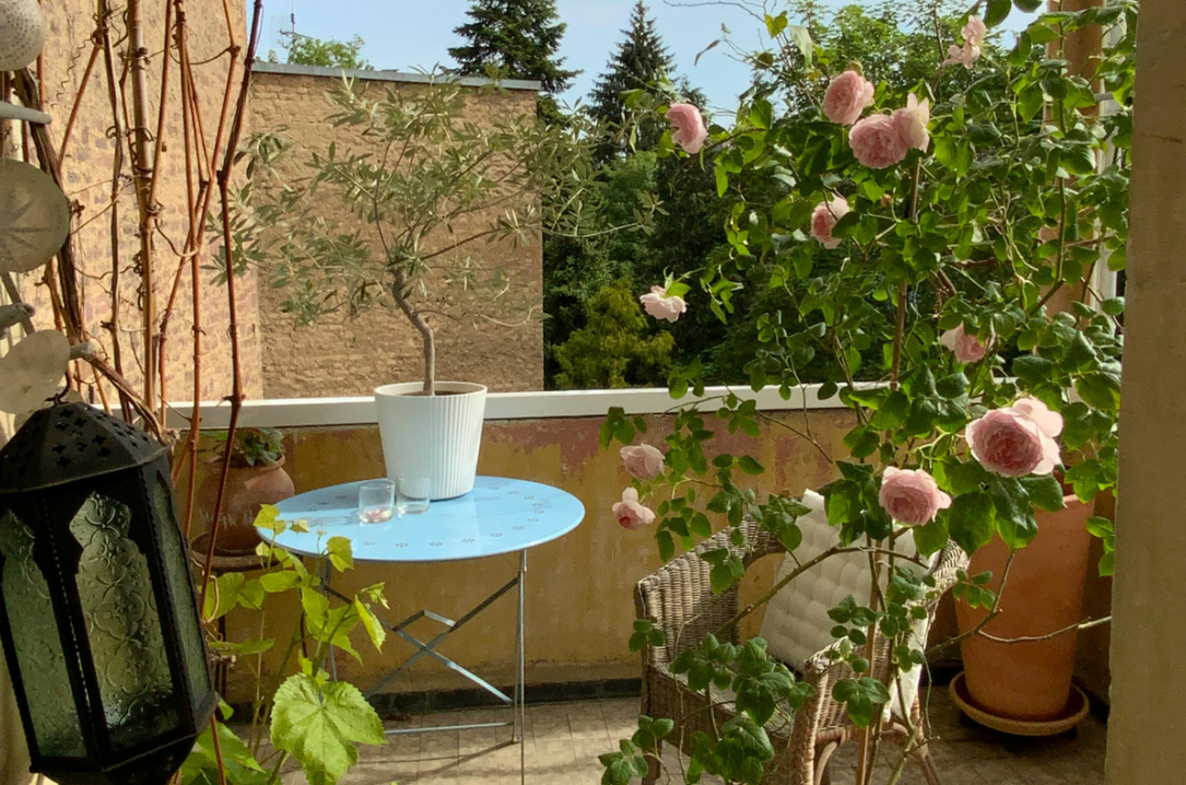 Robuste Balkonpflanzen für Sonne und Wind