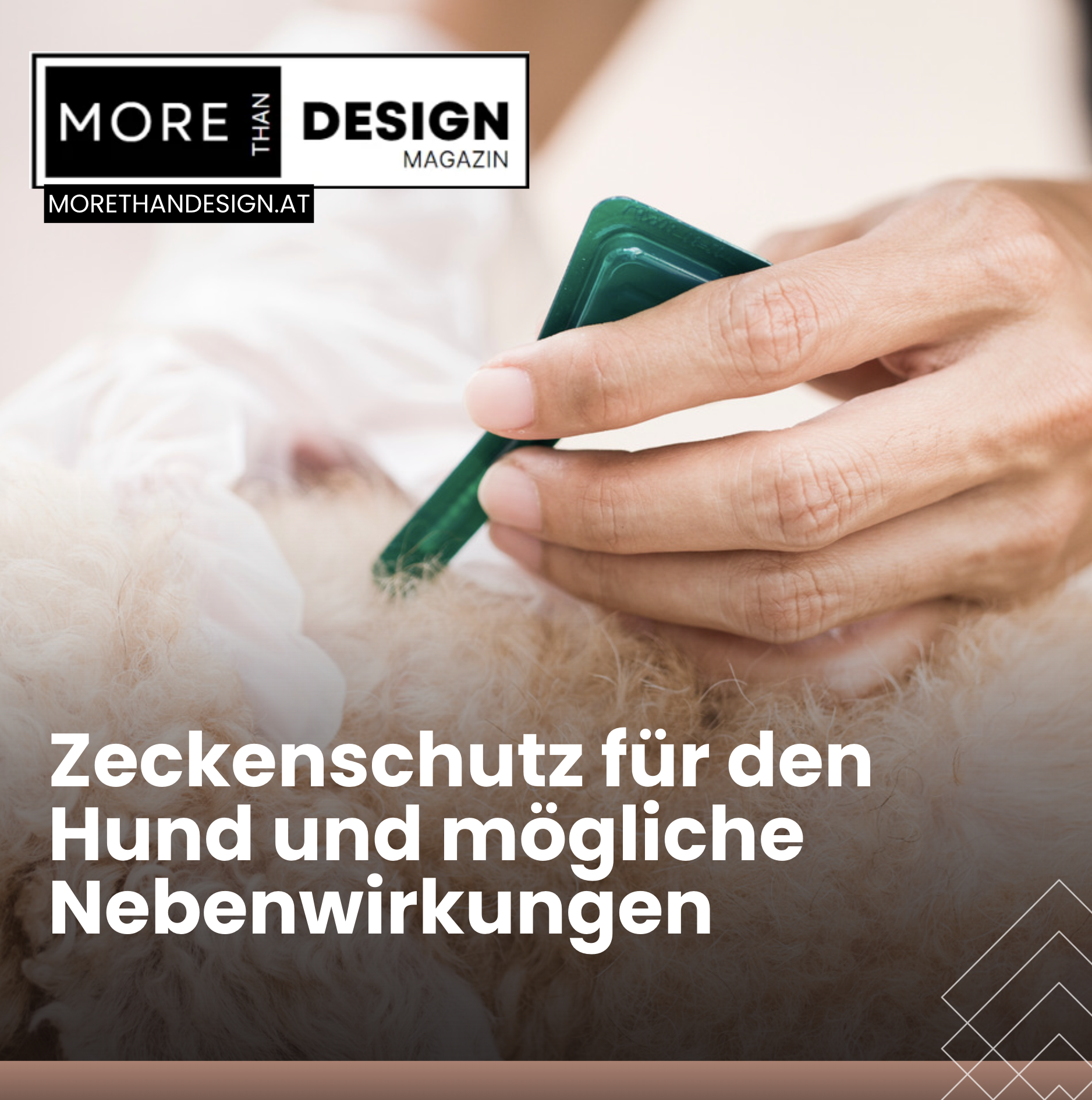 Das beste Mittel gegen Zecken bei Hunden Zeckenschutz Das beste Mittel gegen Zecken bei Hunden Zeckenschutz
