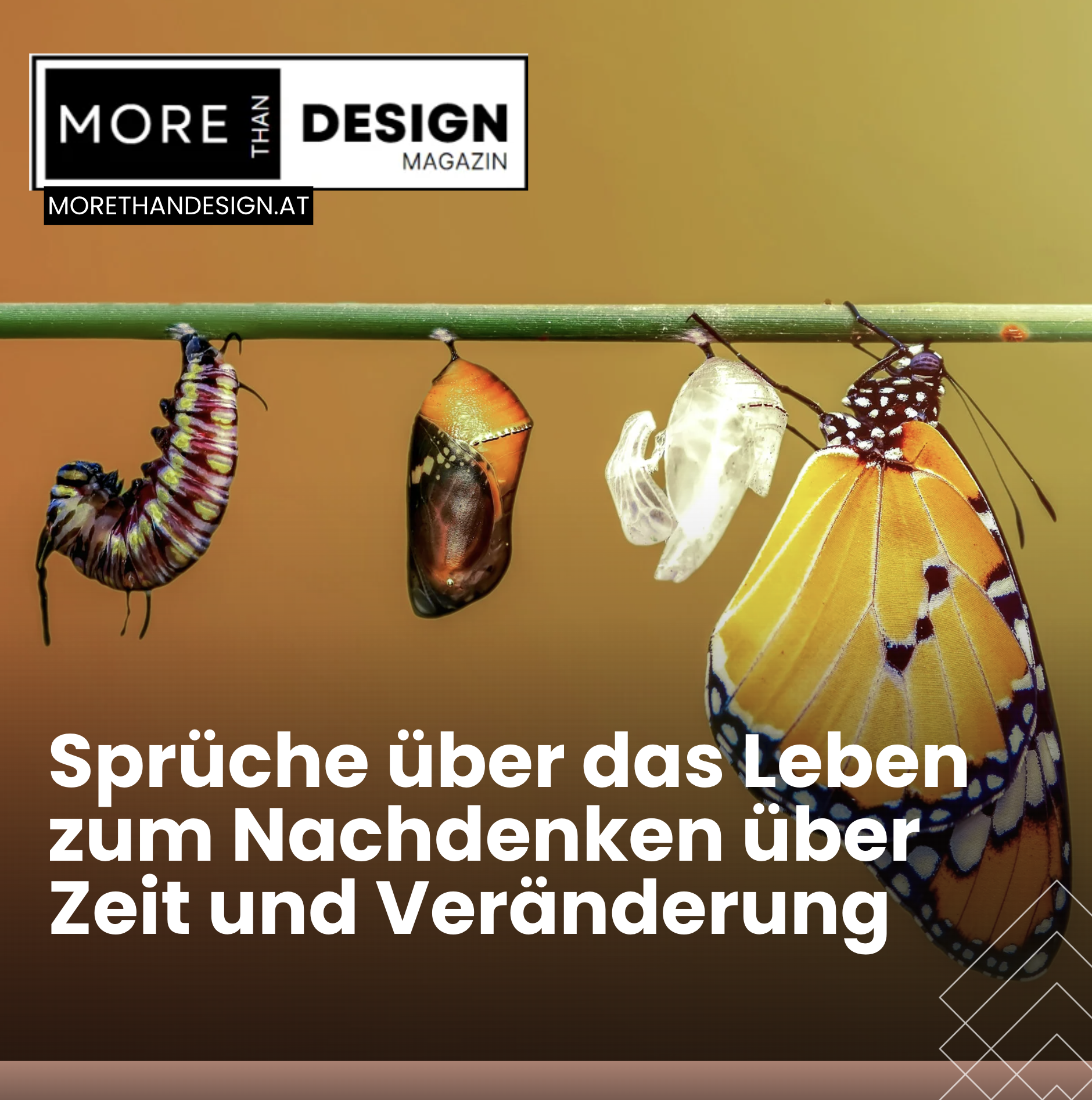 Sprüche über das Leben zum Nachdenken über Zeit und Veränderung Sprüche über das Leben zum Nachdenken über Zeit und Veränderung
