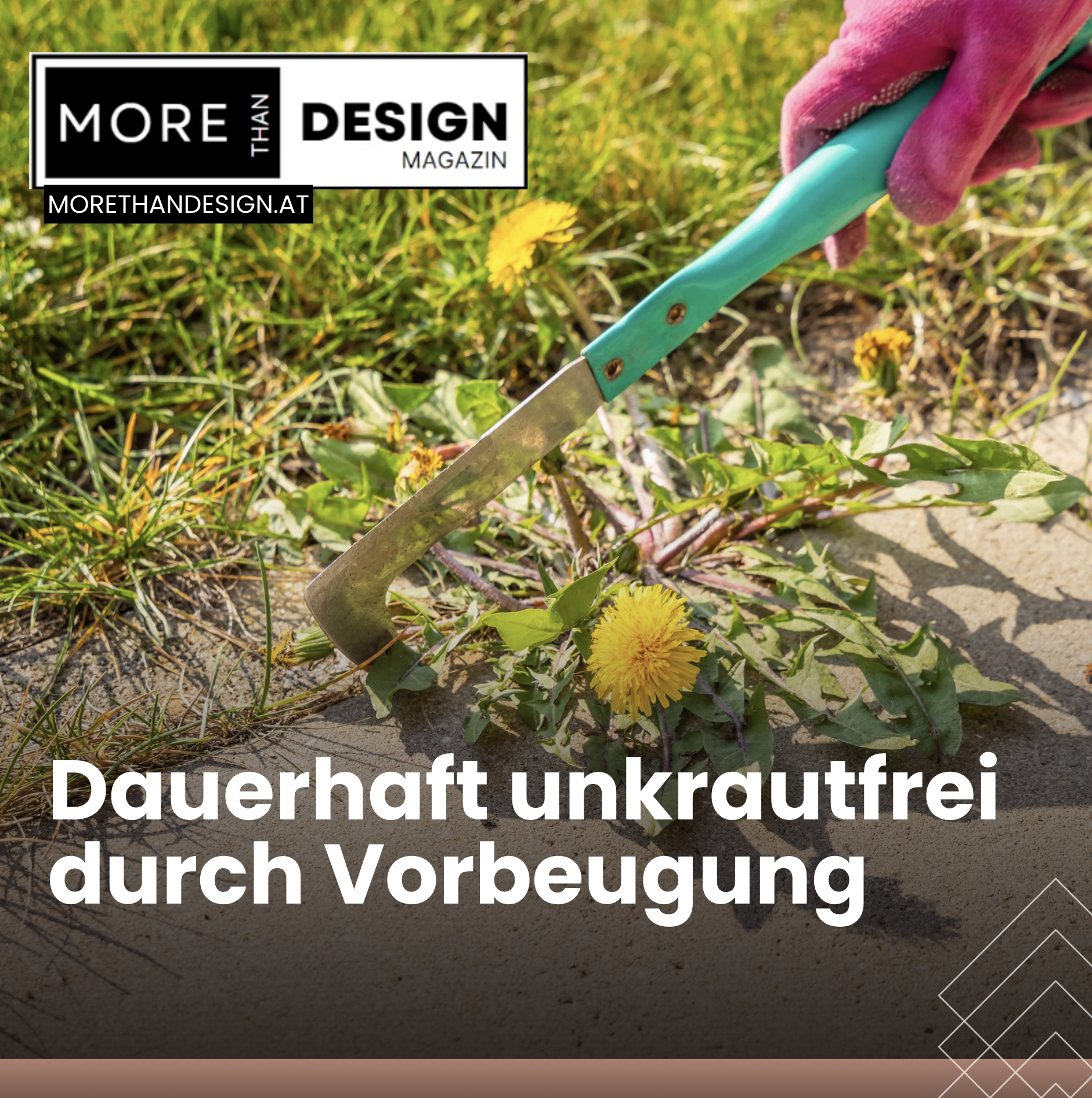 Unkraut vernichten mit Essig, Salz und Spülmittel: Dauerhaft unkrautfrei durch Vorbeugung Unkraut vernichten mit Essig, Salz und Spülmittel: Dauerhaft unkrautfrei durch Vorbeugung