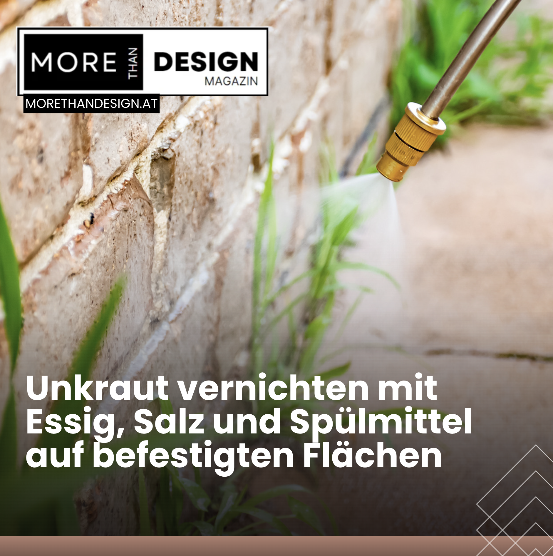 Unkraut vernichten mit Essig, Salz und Spülmittel auf befestigten Flächen Unkraut vernichten mit Essig, Salz und Spülmittel auf befestigten Flächen