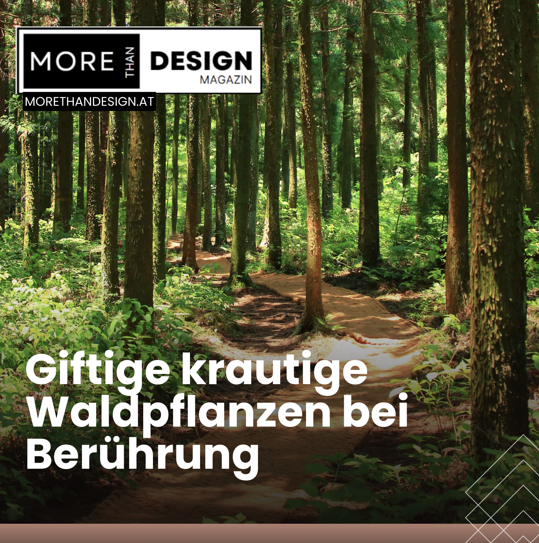Giftige krautige Waldpflanzen bei Berührung Giftige krautige Waldpflanzen bei Berührung