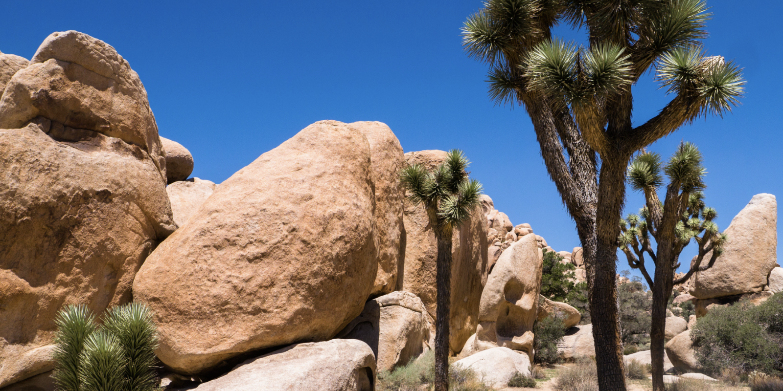 Joshua Tree National Park Sehenswürdigkeiten