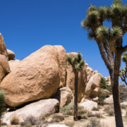 Joshua Tree National Park Sehenswürdigkeiten