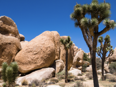 Joshua Tree National Park Sehenswürdigkeiten