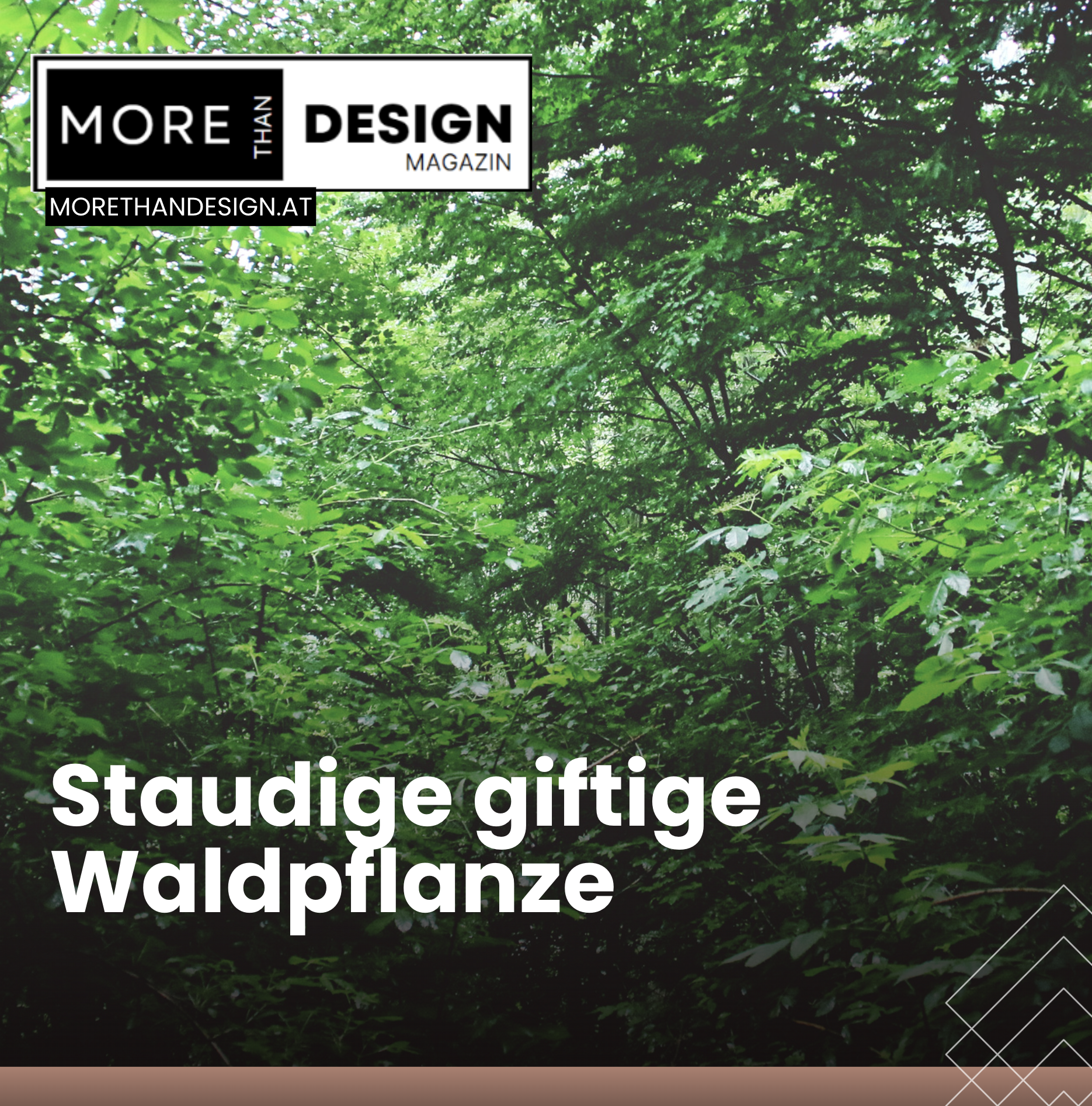 Staudige giftige Waldpflanze Staudige giftige Waldpflanze