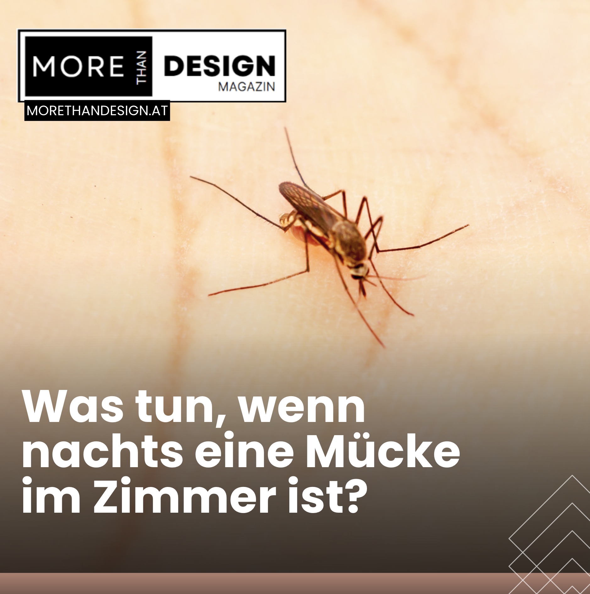 Was tun, wenn nachts eine Mücke im Zimmer ist? Strategien gegen das Biest Was tun, wenn nachts eine Mücke im Zimmer ist? Strategien gegen das Biest