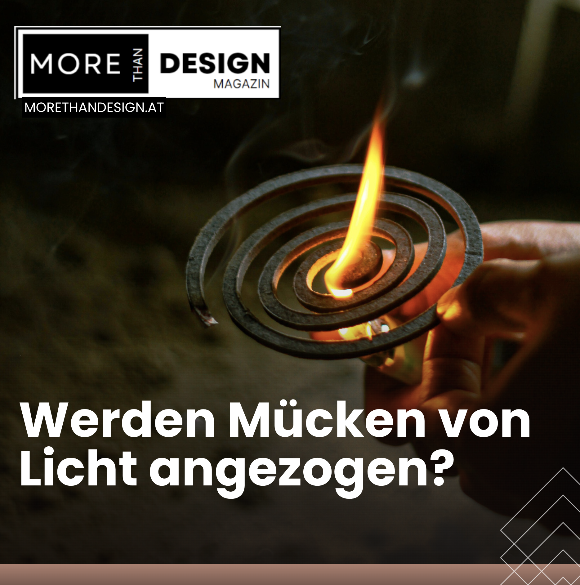 Werden Mücken von Licht angezogen? Ein biologischer Mythos auf dem Prüfstand Werden Mücken von Licht angezogen? Ein biologischer Mythos auf dem Prüfstand