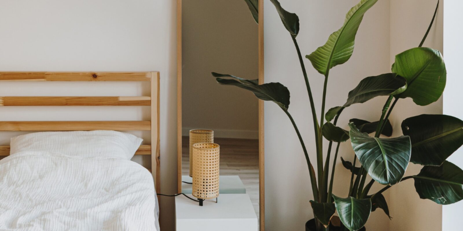 Welche Pflanzen sind gut fürs Schlafzimmer Die besten Arten für erholsamen Schlaf