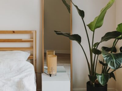 Welche Pflanzen sind gut fürs Schlafzimmer Die besten Arten für erholsamen Schlaf