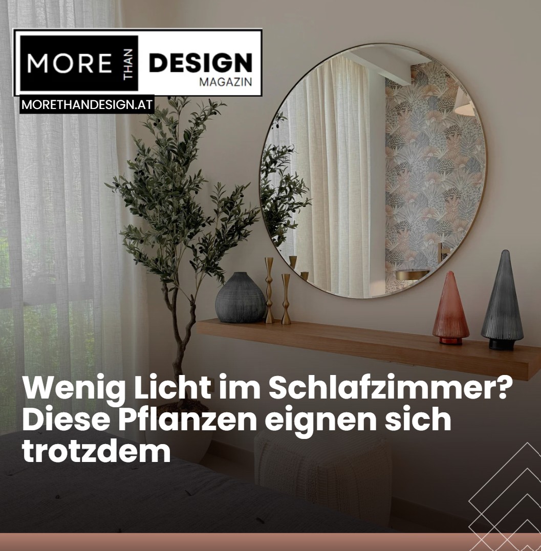 Wenig Licht im Schlafzimmer Diese Pflanzen eignen sich trotzdem Wenig Licht im Schlafzimmer Diese Pflanzen eignen sich trotzdem