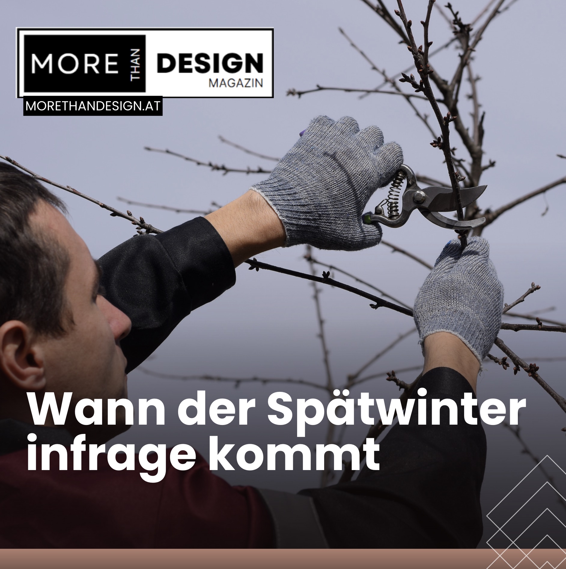 Kirschbaum schneiden im Winter: Wann der Spätwinter infrage kommt Kirschbaum schneiden im Winter: Wann der Spätwinter infrage kommt
